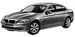 BMW F10 B16A5 Fault Code